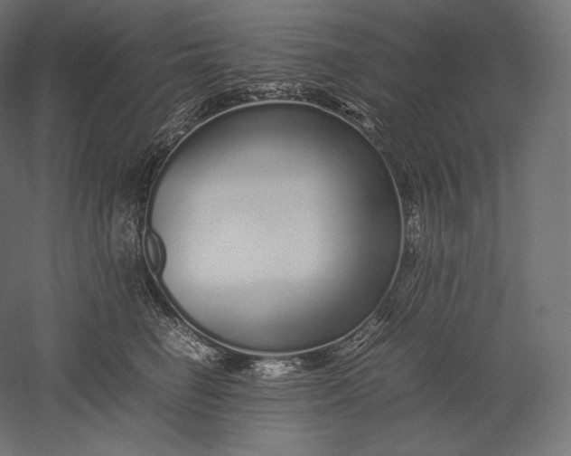 X0000051250662200507011654