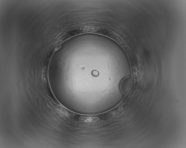 X0000051250663200507011654