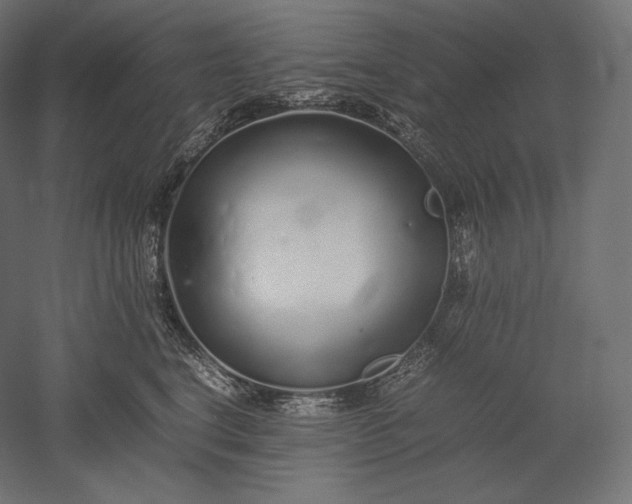 X0000051250664200507011654