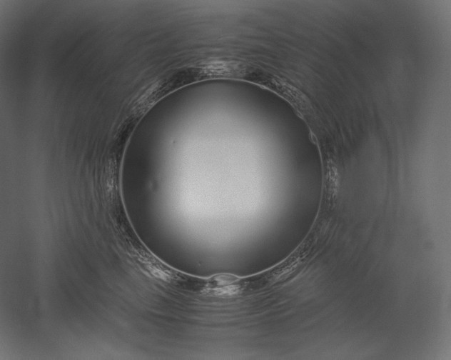 X0000051250665200507011654