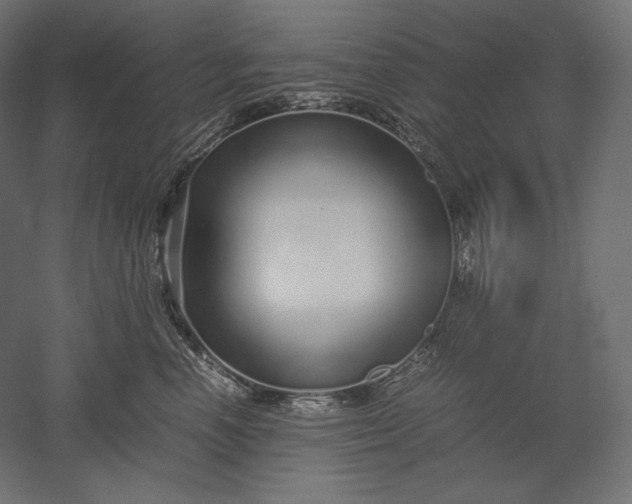 X0000051250666200507011654