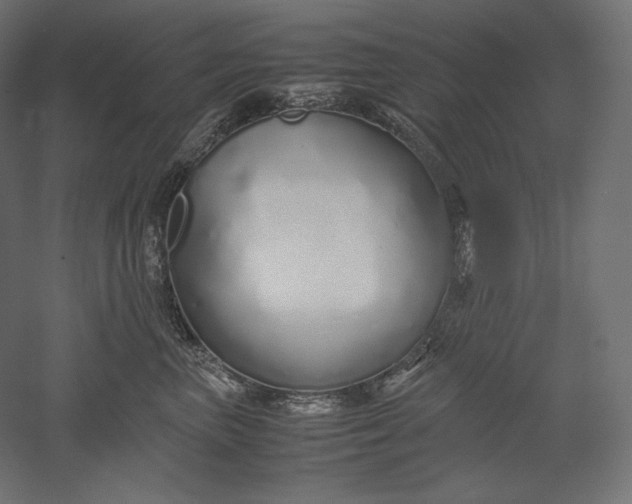 X0000051250667200507011654