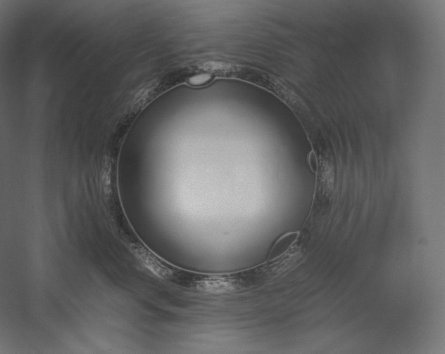 X0000051250668200507011654