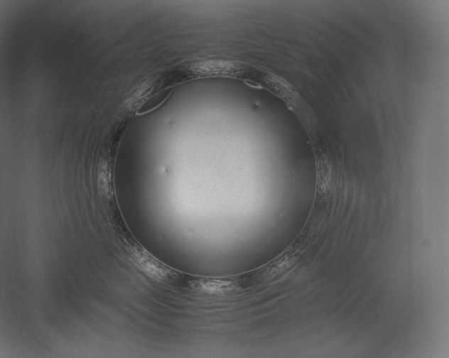 X0000051250669200507011654