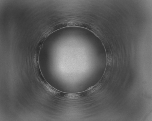 X0000051250670200507011654