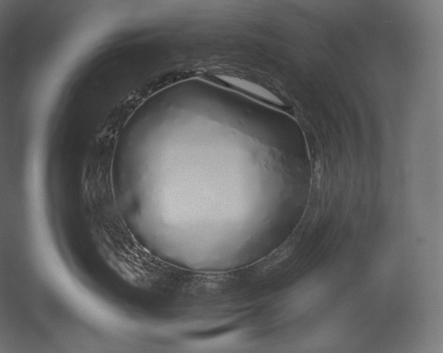 X0000051250671200507011654