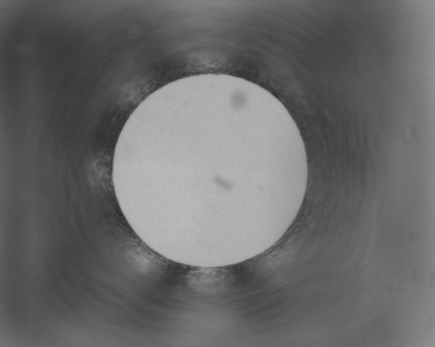 X0000051250672200507011654