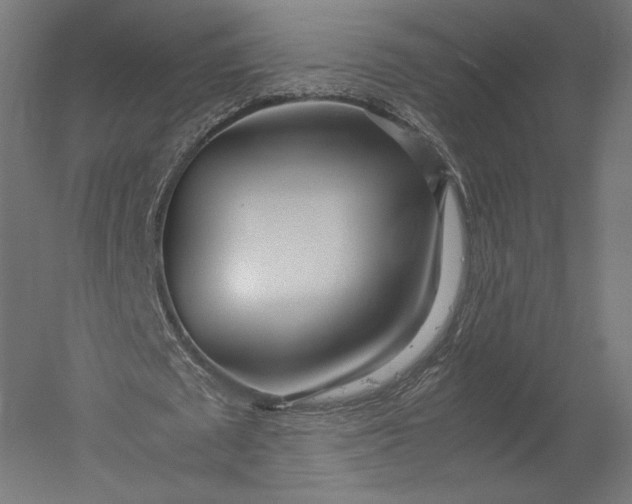 X0000051250673200507011653