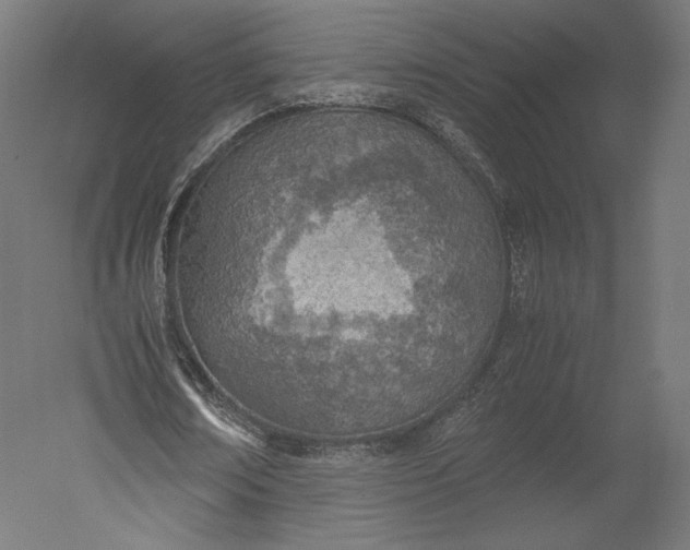 X0000051250674200507011653