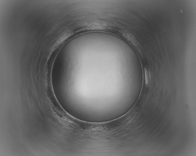 X0000051250675200507011653