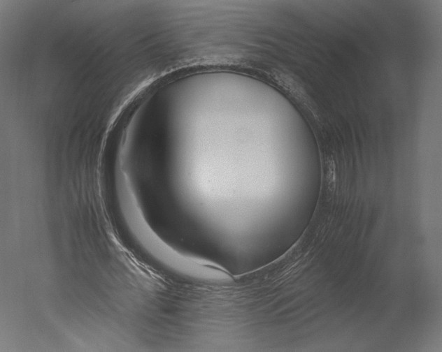 X0000051250676200507011653