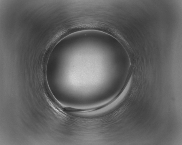 X0000051250677200507011653