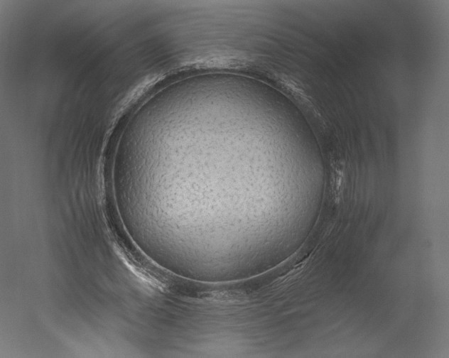 X0000051250678200507011653