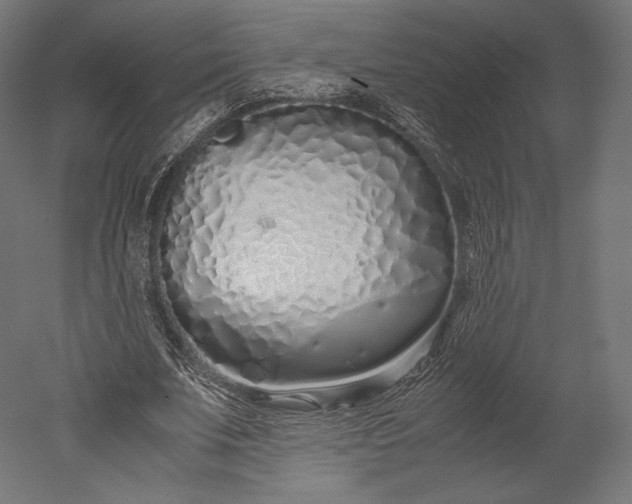 X0000051250679200507011653