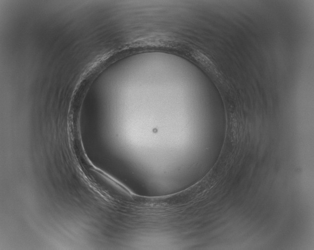 X0000051250680200507011653