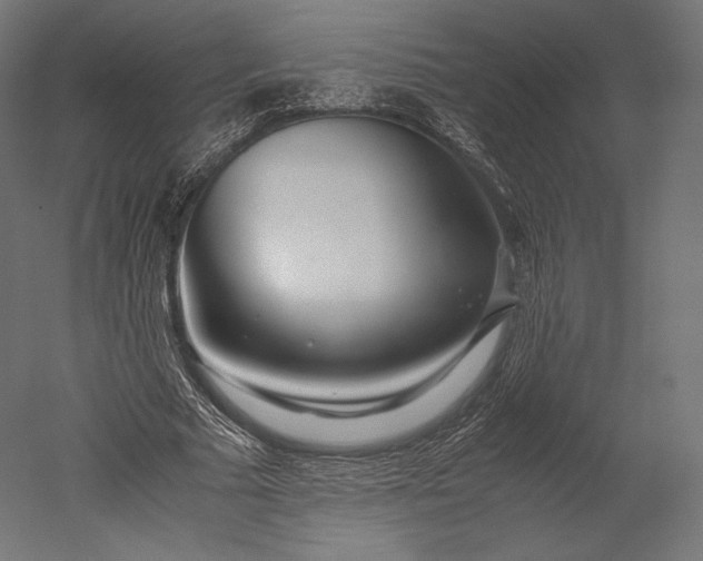 X0000051250681200507011653