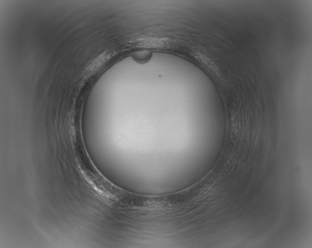 X0000051250682200507011653