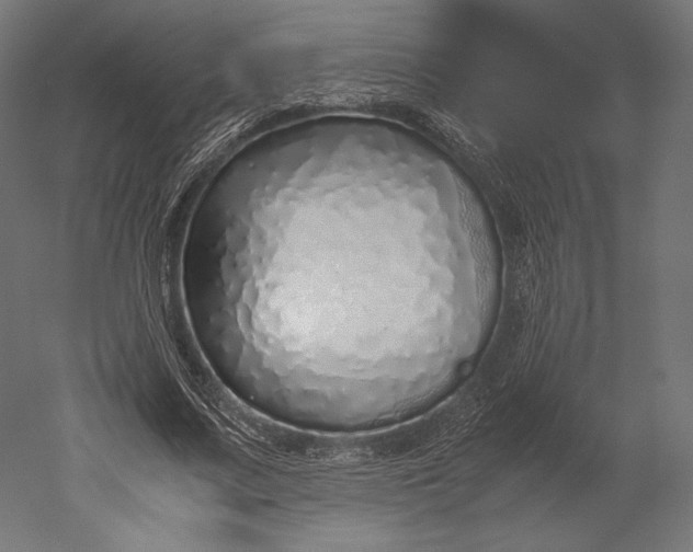 X0000051250683200507011653