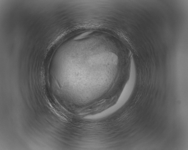 X0000051250684200507011653