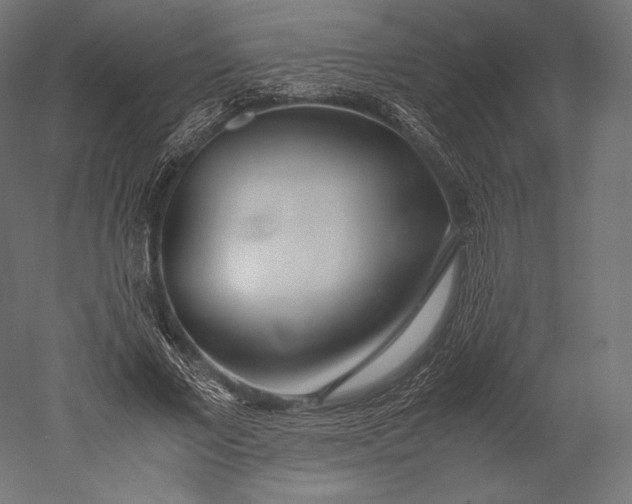 X0000051250685200507011653