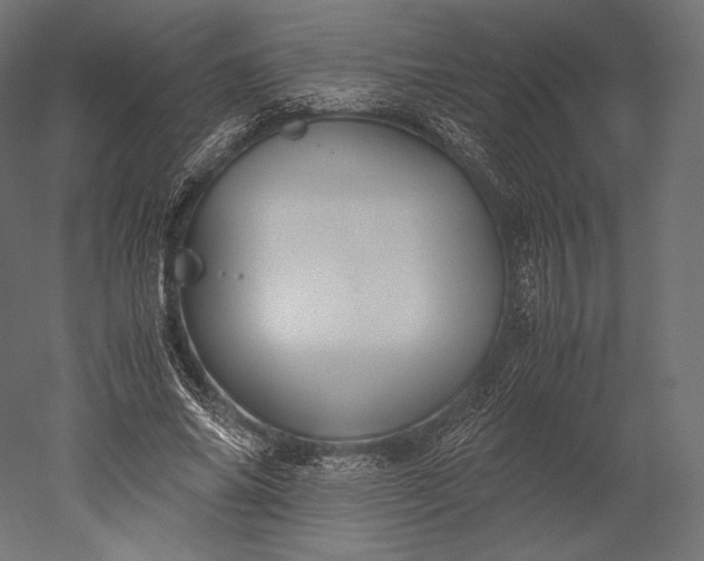 X0000051250686200507011653