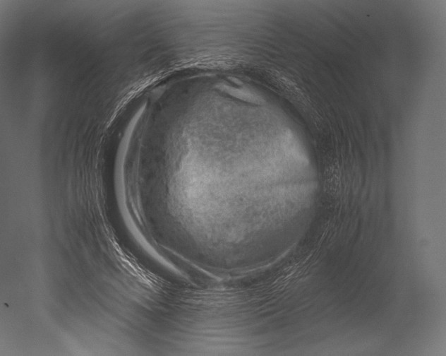 X0000051250688200507011653