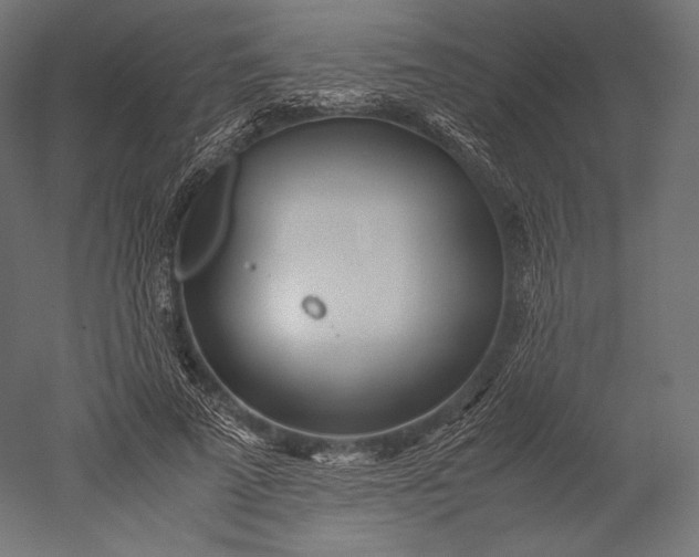 X0000051250689200507011653