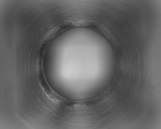 X0000051250690200507011653