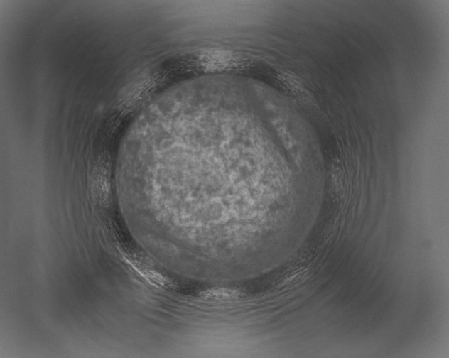 X0000051250691200507011653