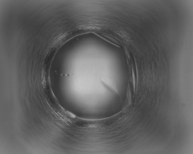 X0000051250692200507011653