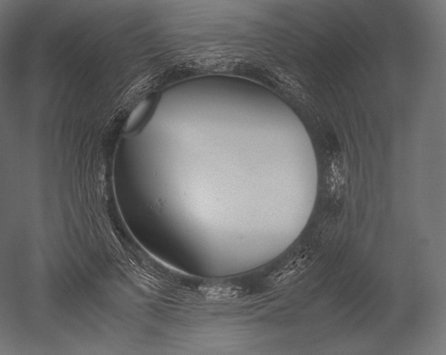 X0000051250693200507011653