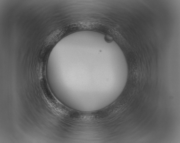 X0000051250694200507011653