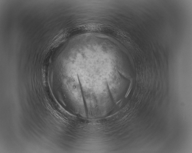 X0000051250696200507011652