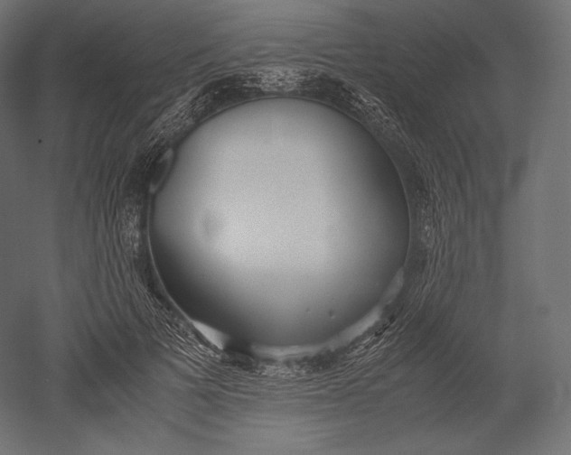 X0000051250697200507011652