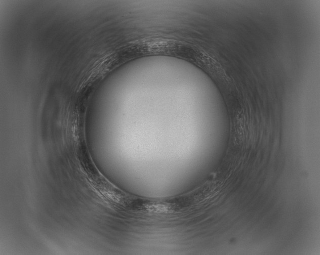 X0000051250698200507011652