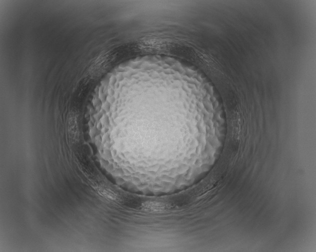 X0000051250699200507011652