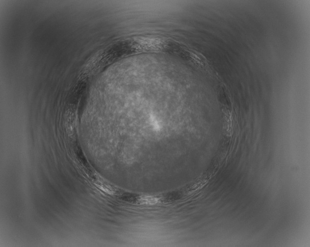 X0000051250701200507011652