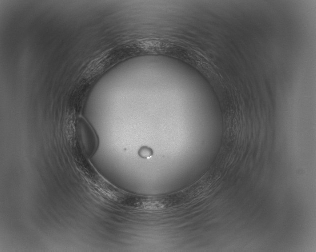 X0000051250702200507011652