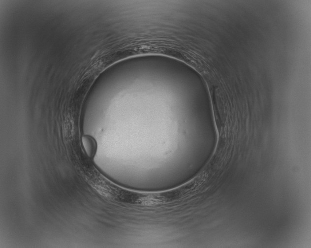 X0000051250703200507011652