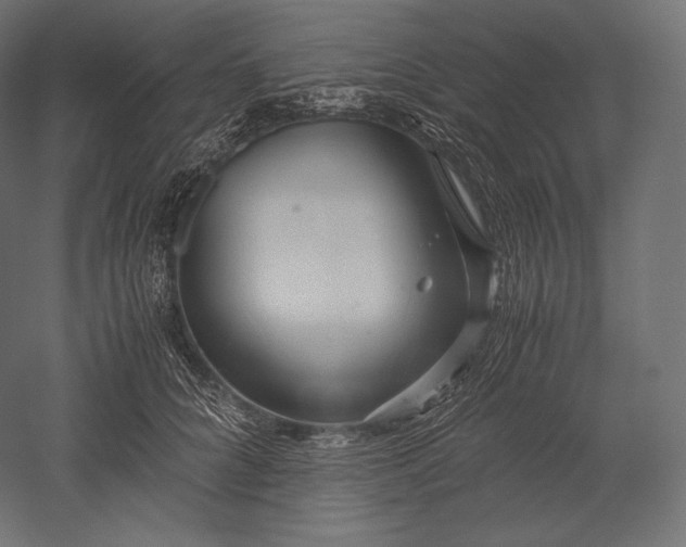 X0000051250704200507011652