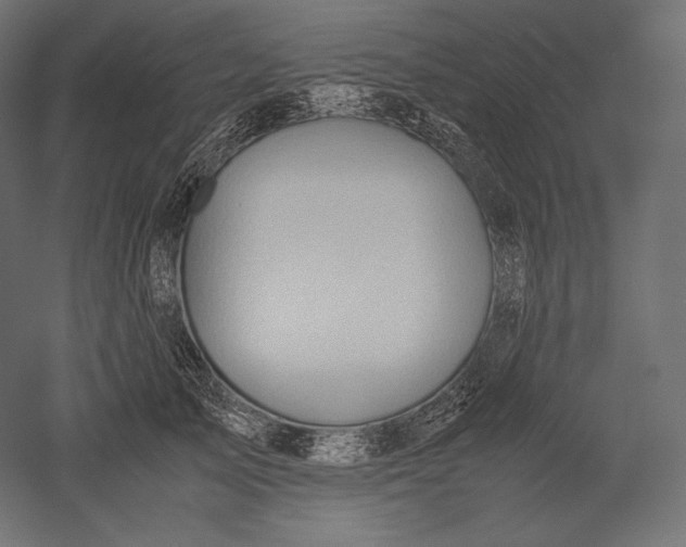 X0000051250705200507011652