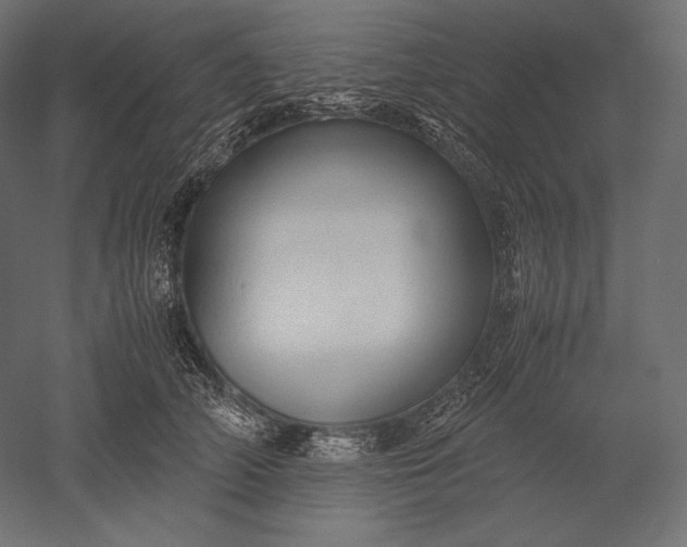 X0000051250706200507011652