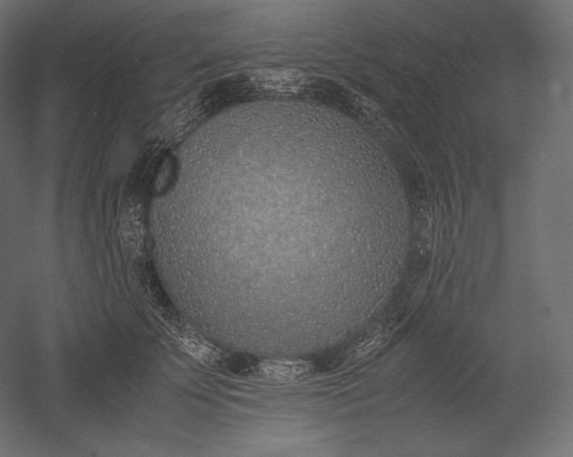 X0000051250707200507011652