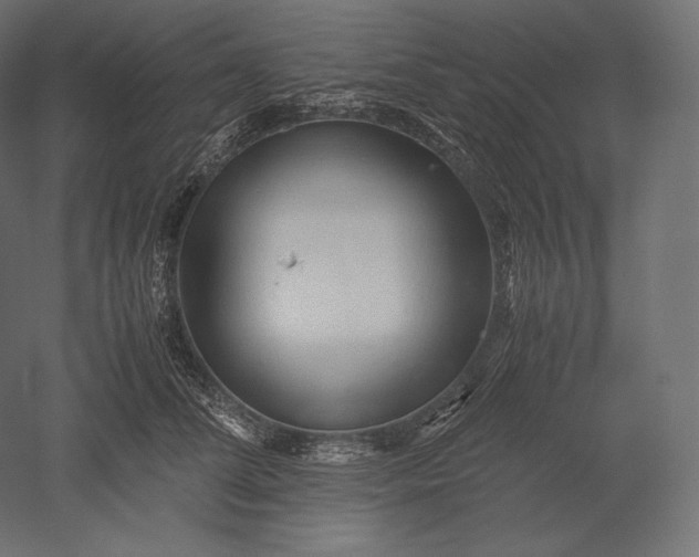 X0000051250708200507011652