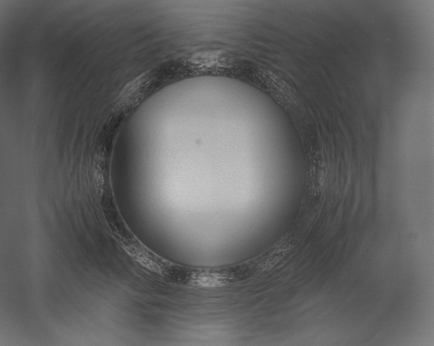 X0000051250710200507011652