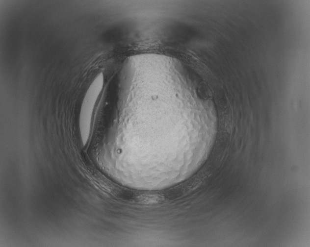 X0000051250711200507011652