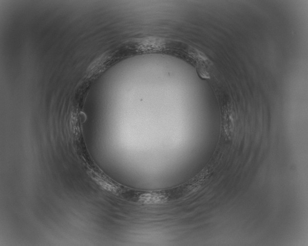 X0000051250714200507011652