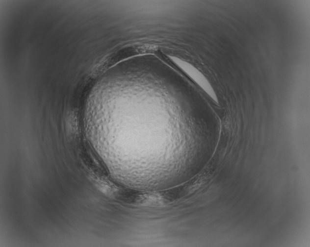 X0000051250715200507011652