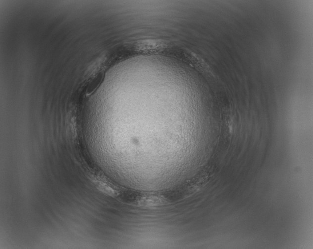 X0000051250716200507011652