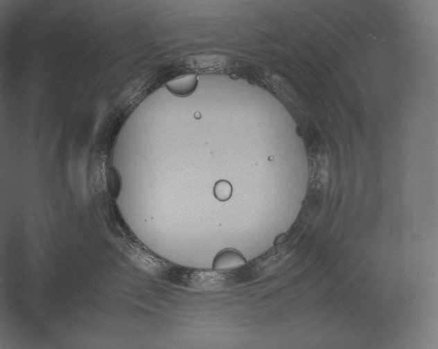 X0000051250717200507011652